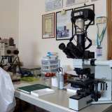 �Continuiamo a raffigurare a mano gli insetti - sottolinea il docente -: la fotografia infatti non riesce a mettere a fuoco i dettagli di soggetti di piccolissime dimensioni che noi naturalmente osserviamo con il microscopio�